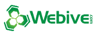 Webive Internet Marketing and Web Design