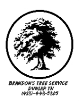 Brandon's Tree Service