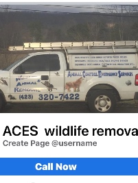 Animal Control Emergency Services